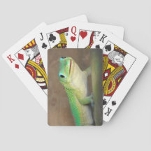 金ゴールドダストデイGecko写真