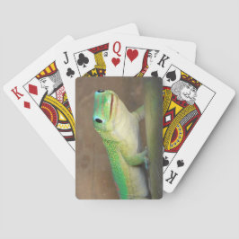 金ゴールドダストデイGecko写真 トランプ