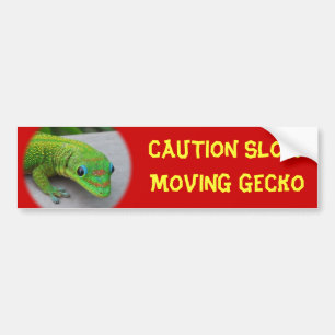金ゴールドダストデイGecko – オーディションと取得Gecko バンパーステッカー