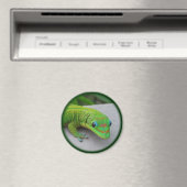 金ゴールドダストデイGecko – オーディションと取得Gecko マグネット (インサイチュ (食洗機))