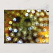 金ゴールドデザイン インビテーションポストカード (正面)