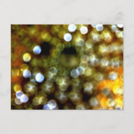 金ゴールドデザイン インビテーションポストカード