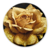 金ゴールドバラセラミックノブ セラミックノブ (正面)