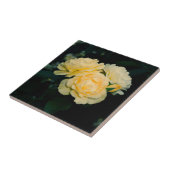 金ゴールドバラ園 タイル (側面)