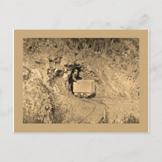 金ゴールドパンニングアートtシャツ ポストカード