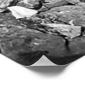 金ゴールドパンニングin CALIFORNIA c.1866 ポスター (角)