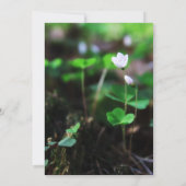 金ゴールドフローラメモリアルサービス写真招待状 招待状 (裏面)