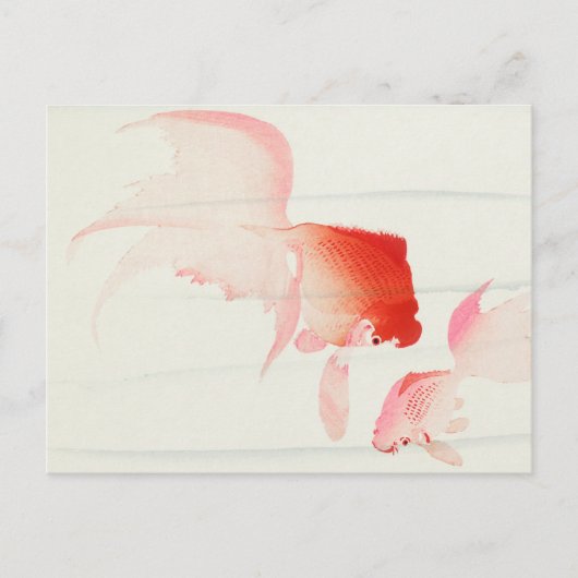 金ゴールドフ絵画ィッシュ（大原光尊） ポストカード (正面)