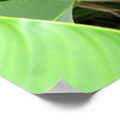 金ゴールドヘリコニア ポスター (角)