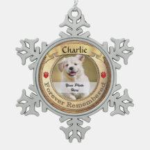 金ゴールドペット記念碑 – 永遠に記憶