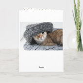 金ゴールドマイオウィパーソナルキャットフォトペットホリデー シーズンカード (裏面)