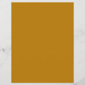 金ゴールドマウンテンロゴ、カービングアドベンチャー広告ズ チラシ (裏面)