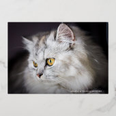 金ゴールドムワイクリスマス猫好き写真 箔シーズンカード (正面)