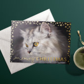 金ゴールドムワイクリスマス猫好き写真 箔シーズンカード
