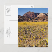 金ゴールドラッシュ ポストカード (正面/裏面)