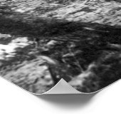 金ゴールドラッシュinアラスカ, 1890年代 ポスター (角)