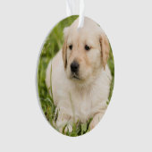 金ゴールドラボパピーのカスタマイズ可能なクリスマス オーナメント (正面)
