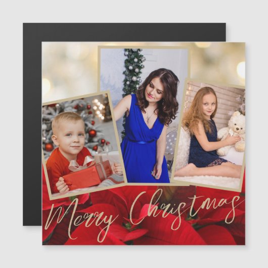 金ゴールドレッドポインセチア・メリークリスマスマグネットカード (正面/裏面)