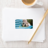 金ゴールド信じ |ホリデーフォト住所 シール (インサイチュ)