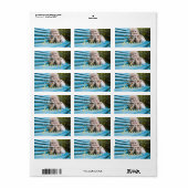 金ゴールド信じ |ホリデーフォト住所 シール (フルシート)