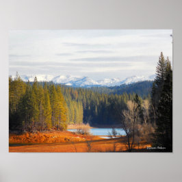 金ゴールド国 ポスター