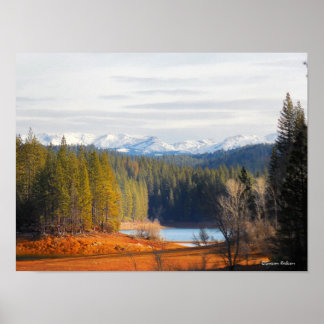 金ゴールド国 ポスター