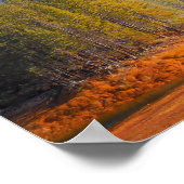 金ゴールド国 ポスター (角)