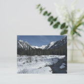 金ゴールド川 ポストカード (スタンド正面)