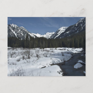 金ゴールド川 ポストカード