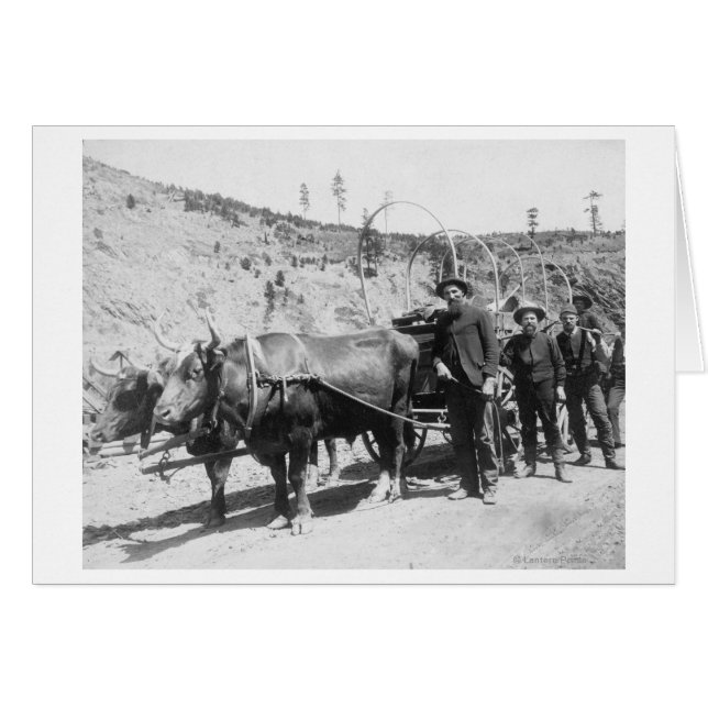 金ゴールド探鉱者グループ写真 (正面横)