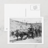 金ゴールド探鉱者グループ写真 ポストカード (正面/裏面)