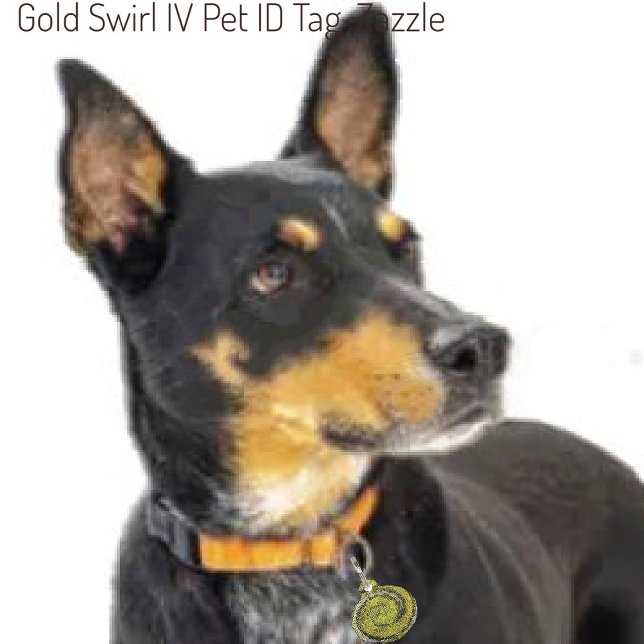 金ゴールド旋回IV ペット　ネームタグ (クリエイターアップロード済み)