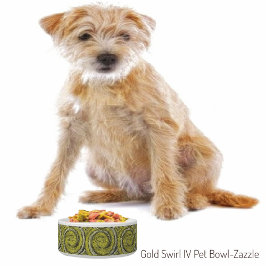 金ゴールド旋回IV ボウル