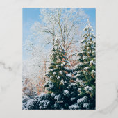 金ゴールド最高のお父様のご家族へ 箔シーズンカード (裏面)