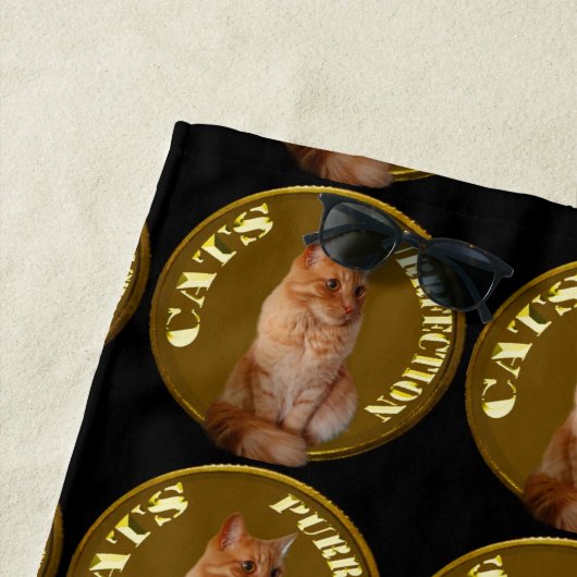 金ゴールド猫コインにジンジャー猫と ビーチタオル (インサイチュ)