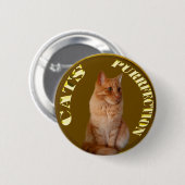 金ゴールド猫コインにジンジャー猫と 缶バッジ (正面&裏面)