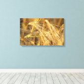 金ゴールド畑 キャンバスプリント (インサイチュ (ウッドフロア))