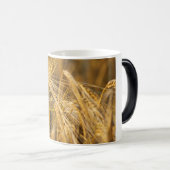 金ゴールド畑 モーフィングマグカップ (正面右)