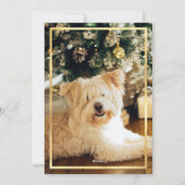 金ゴールド縁ど紙吹雪赤いコラージュのクリスマス シーズンカード (裏面)