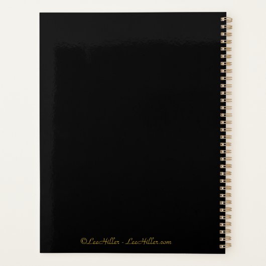 金ゴールド華美サードアイハムザ プランナー手帳 (裏面)