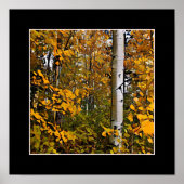 金ゴールド葉 ポスター (正面)