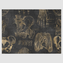 金ゴールド解剖学のスケッチBlack Decompage 薄葉紙