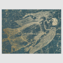 金ゴールド銀河系スターマップシリーズデザイン11