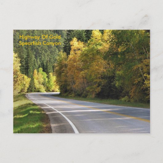 金ゴールド高速道路… ポストカード (正面)