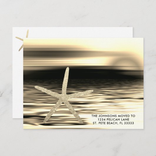 金ゴールド黒日没ヒトデがフロリダに移った 案内ポストカード (正面/裏面)