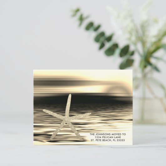 金ゴールド黒日没ヒトデがフロリダに移った 案内ポストカード (スタンド正面)