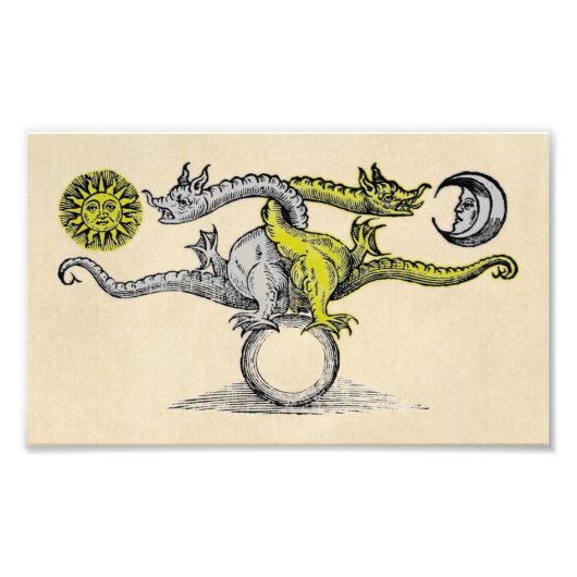 金ゴールド&シルバードラゴンシンボル フォトプリント            (正面)