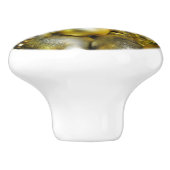 金ゴールド セラミックノブ (側面)