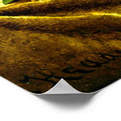 金ゴールド・ベルベット・クロス素晴らしのマグノリア絵画ス ポスター (角)