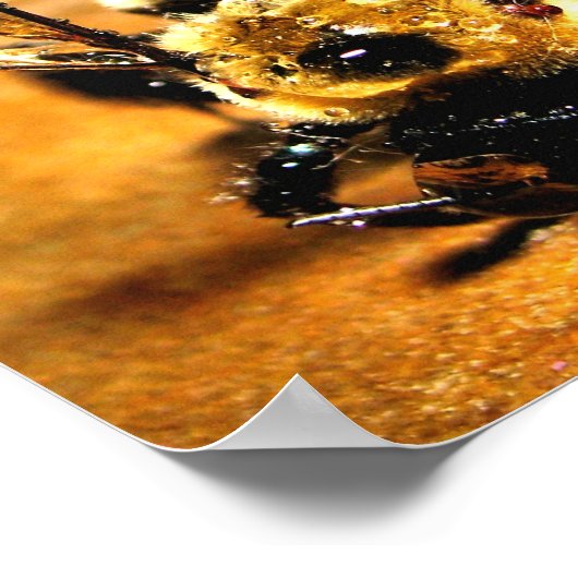 金ゴールド ポスター (角)